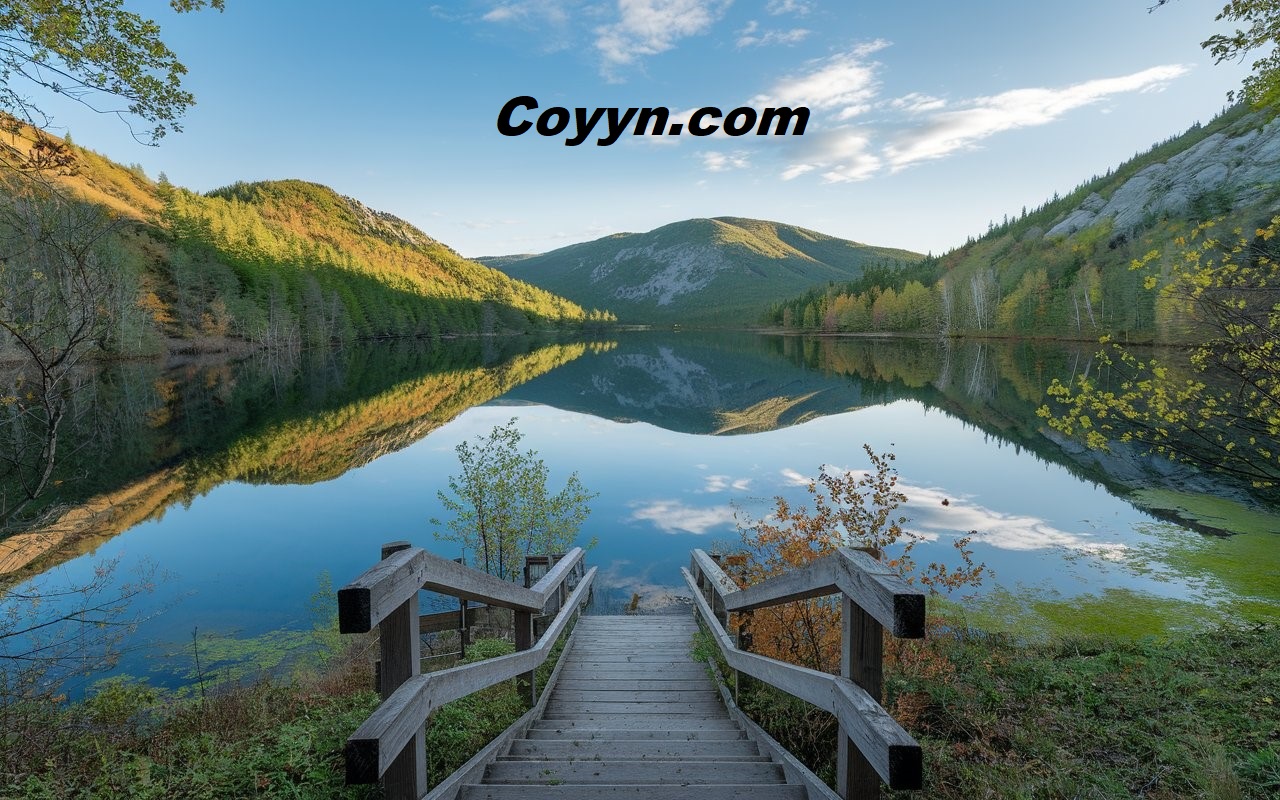 Coyyn.com