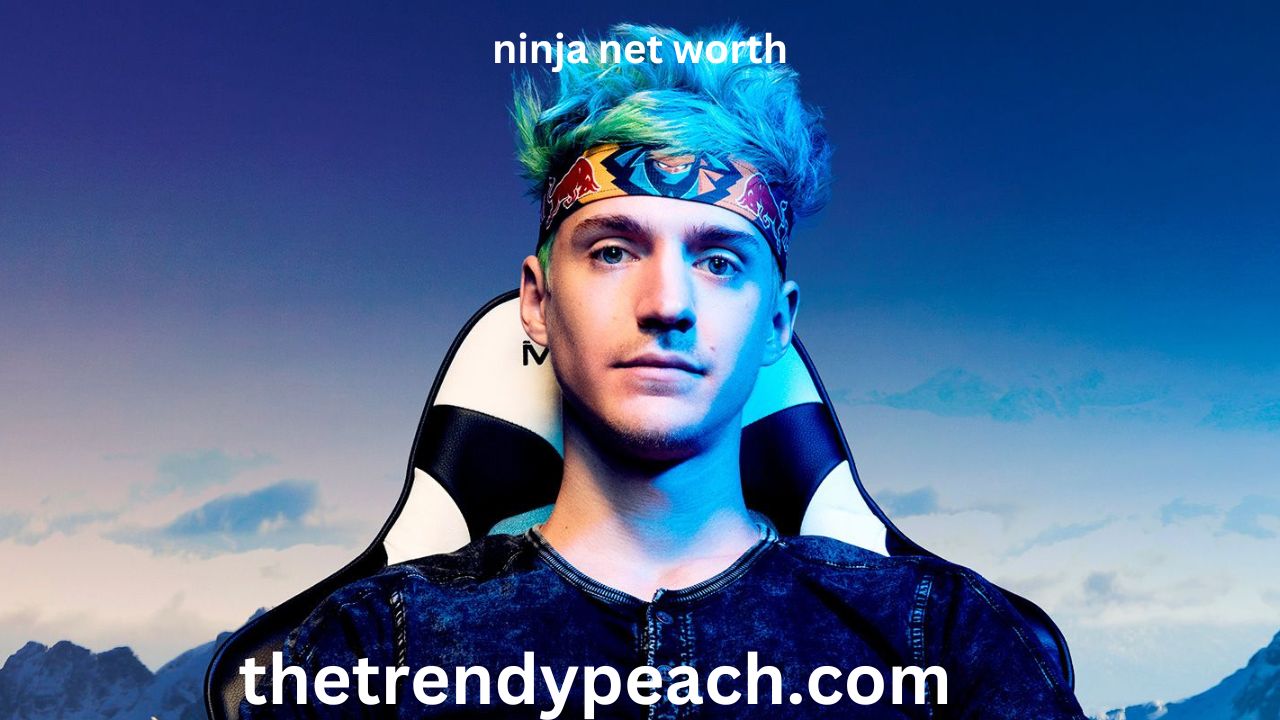 Ninja Net Worth